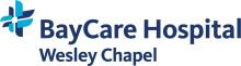 BayCare Hospital logo